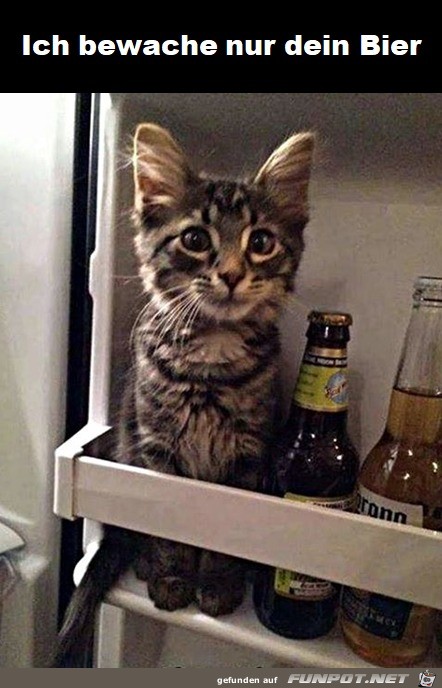 Ich bewache dein Bier Ich bewache dein Bier