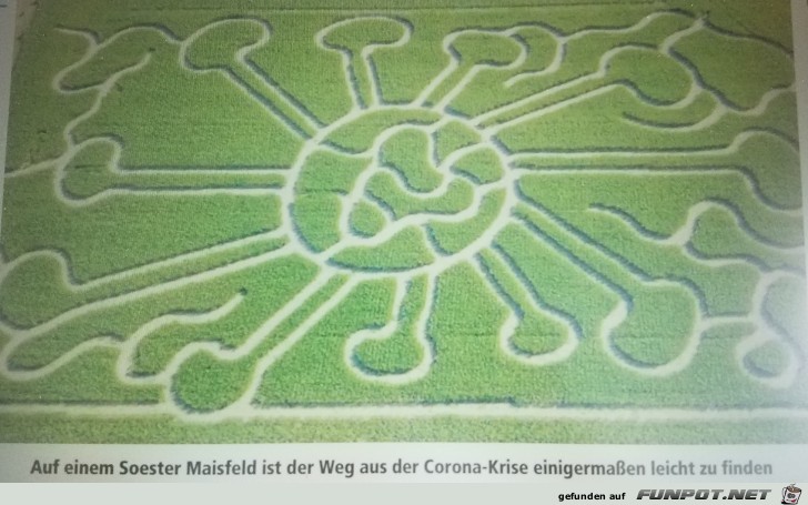 Das Coronavirus auf einem Maisfeld Das Coronavirus auf einem Maisfeld