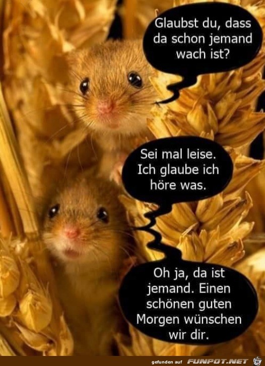 Ist schon jemand wach?