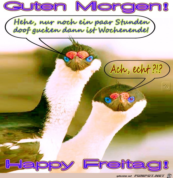 Freitag