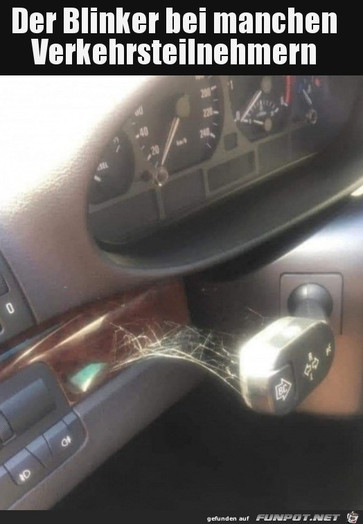 Blinker mit Spinnennetz Blinker mit Spinnennetz