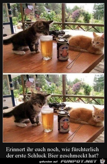 Der erste Schluck Bier Der erste Schluck Bier