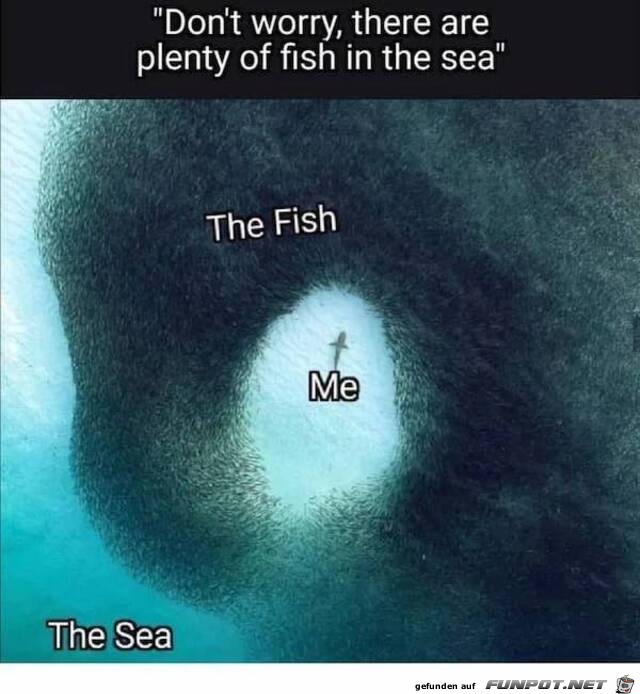 Ziemlich viele Fische Ziemlich viele Fische
