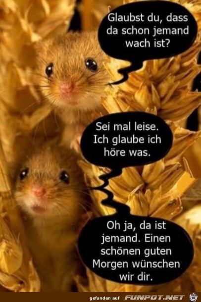 Schönen guten Morgen Schönen guten Morgen
