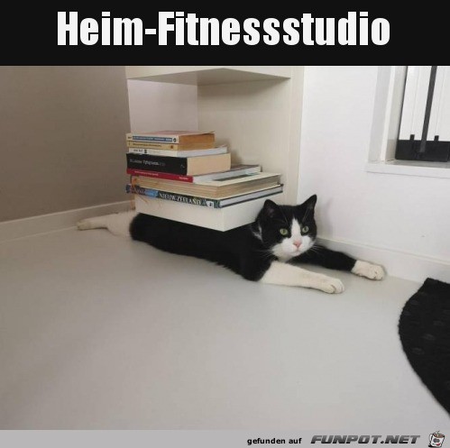 Daheim trainieren
