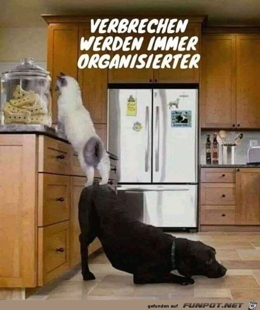die Zwei sind organisiert die Zwei sind organisiert