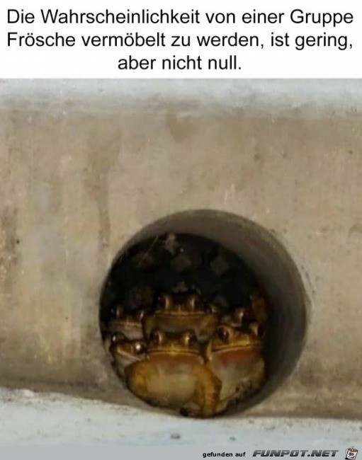 Frosch-Gang Frosch-Gang