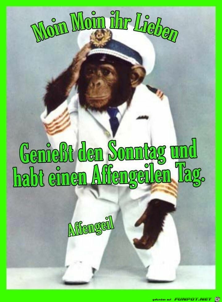 Affengeiler Tag Affengeiler Tag