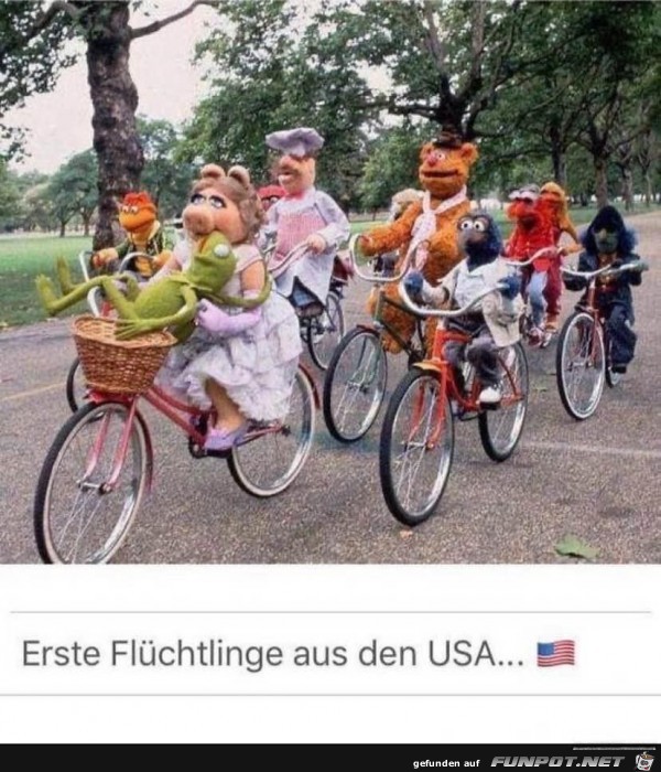Fluechtlinge Fluechtlinge