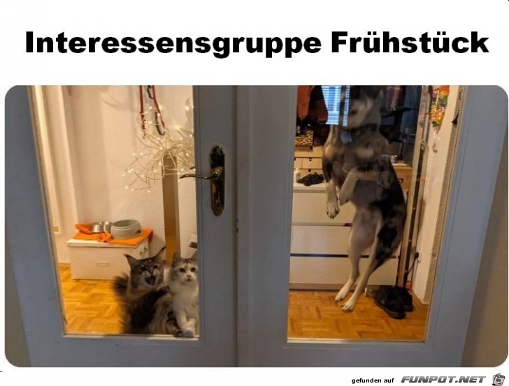 alle wollen Frühstück alle wollen Frühstück
