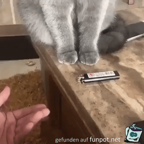 Die Katze und das Feuerzeug Die Katze und das Feuerzeug