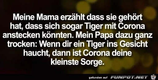 Tiger und Corona Tiger und Corona