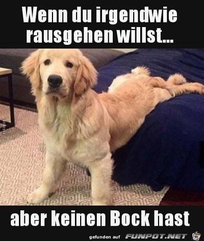 Irgendwie rausgehen Irgendwie rausgehen