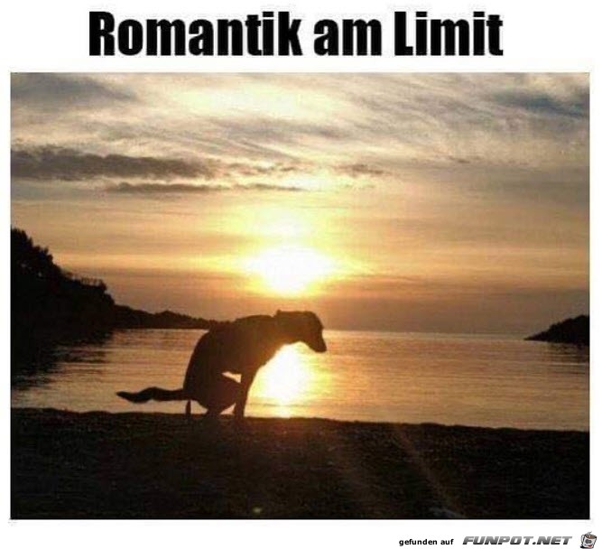 Romantik am Limit Romantik am Limit