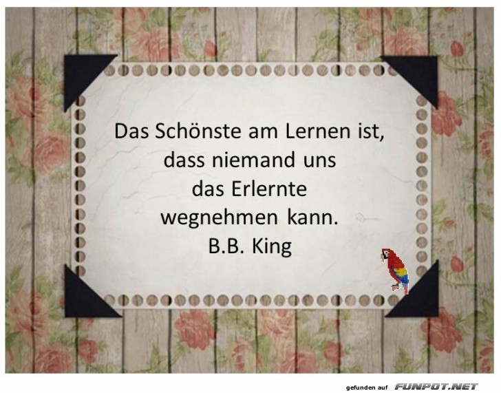 Das Schoenste