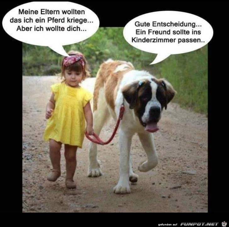 Kleinen Hund genommen Kleinen Hund genommen
