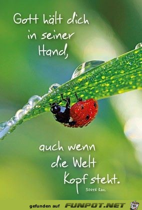 10 schne Sprche und Lebensweisheiten aus...
