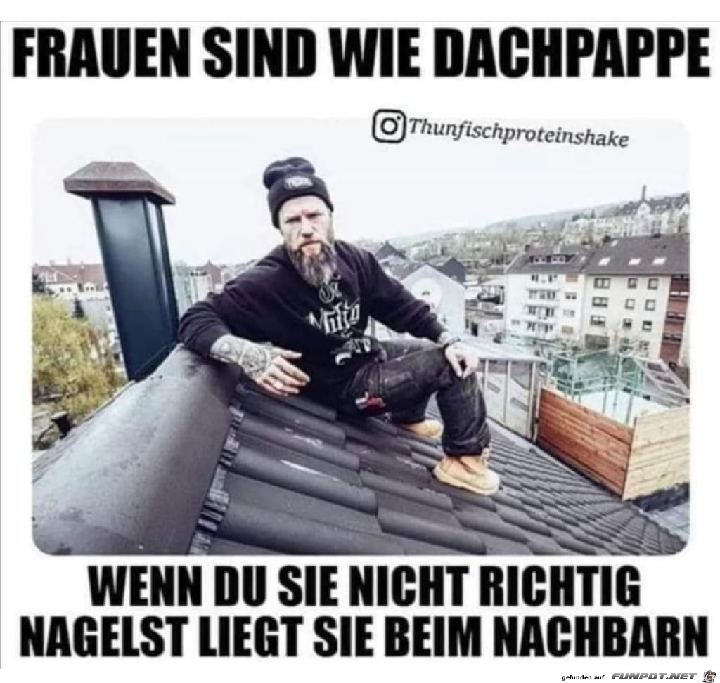 Dachpappe Dachpappe