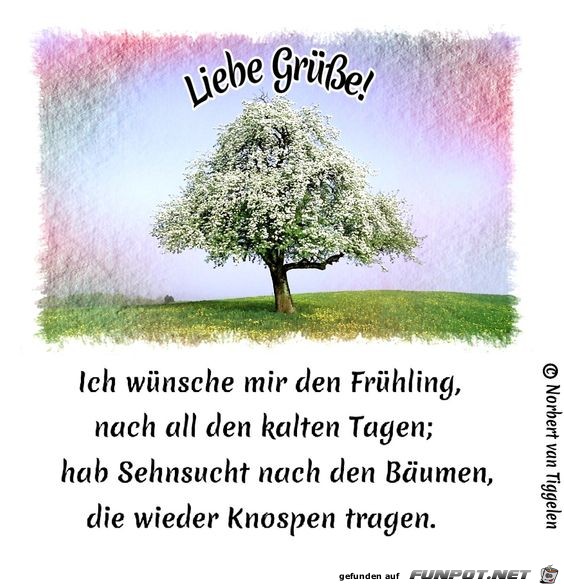 Frhlingssehnsucht