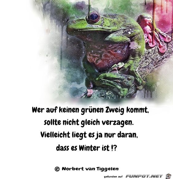 kein grner zweig