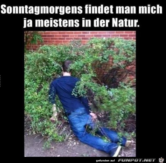 Sonntag Morgen
