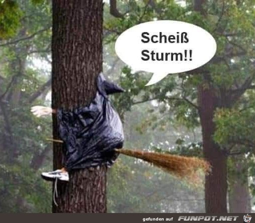 Blder Sturm