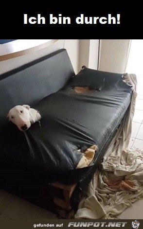 Sofa durchgefressen