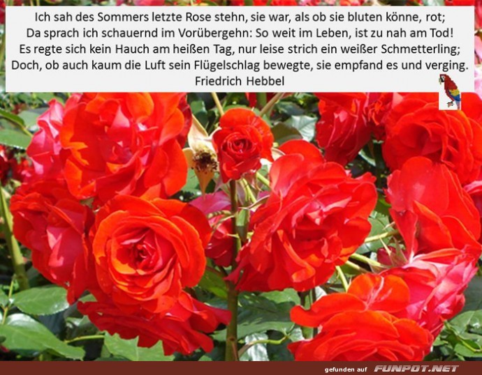 Sommerbild