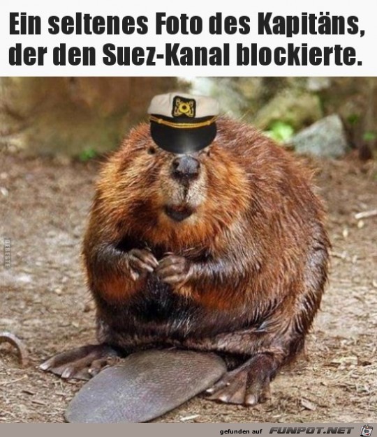 Seltenes Foto des Kapitaens vom Suez-Kanal Seltenes Foto des Kapitaens vom Suez-Kanal