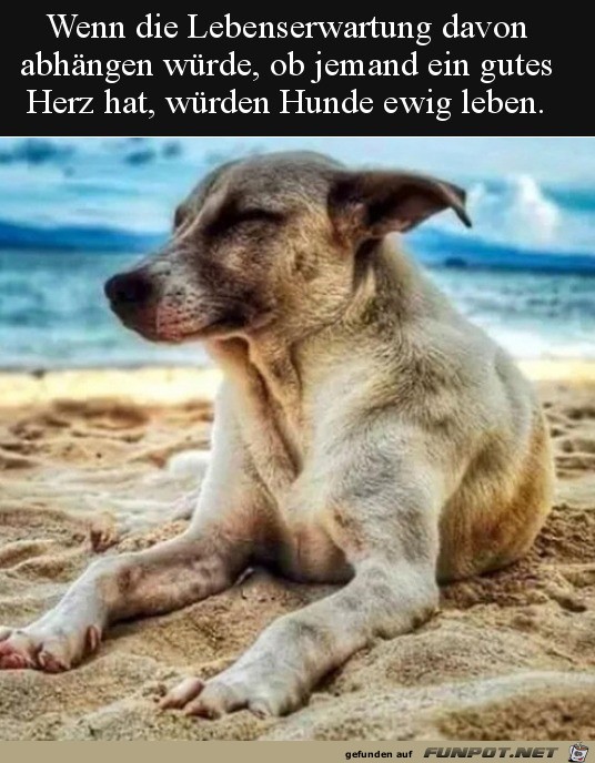Gutes Herz Gutes Herz
