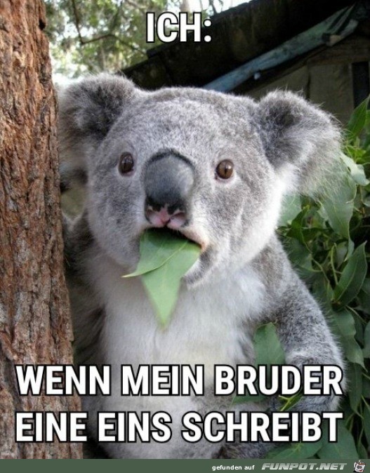 Wenn mein Bruder eine eins schreibt Wenn mein Bruder eine eins schreibt