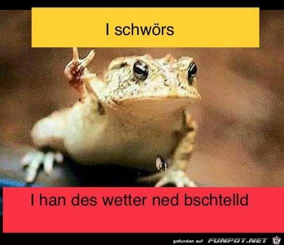 Ich hab das Wetter nicht bestellt Ich hab das Wetter nicht bestellt