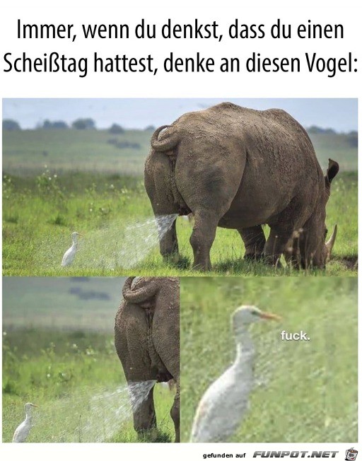 Wenn du einen schlechten Tag hattest