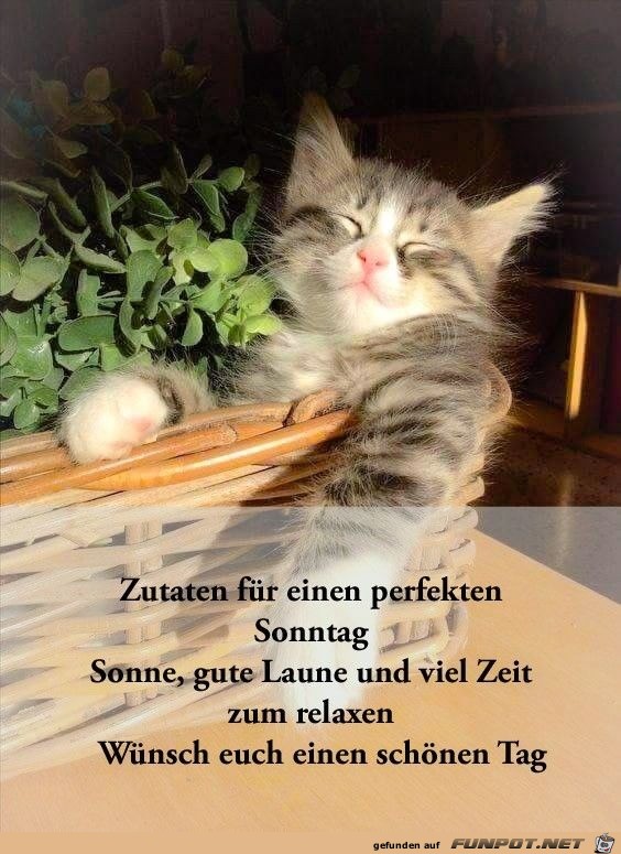 Ein perfekter Sonntag Ein perfekter Sonntag