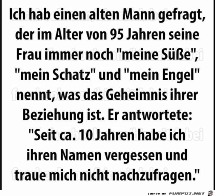 mein Schatz mein Schatz