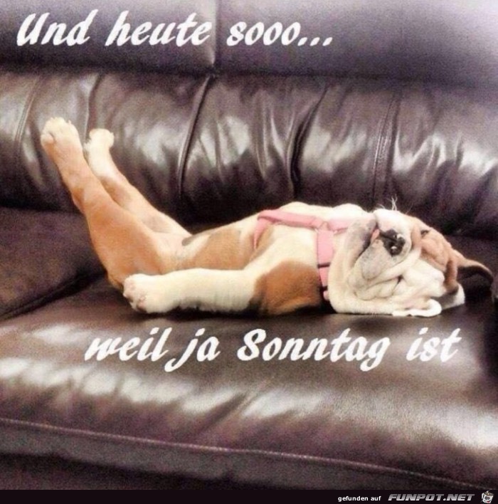 Heute ist Sonntag Heute ist Sonntag