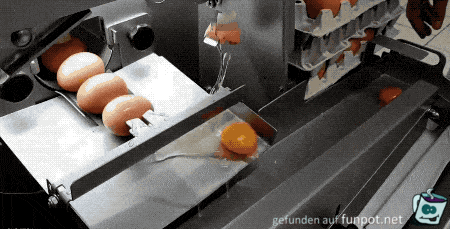 Eier trennen maschinell