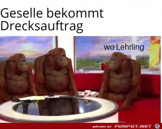 witzige Bilder aus verschiedenen Blogs
