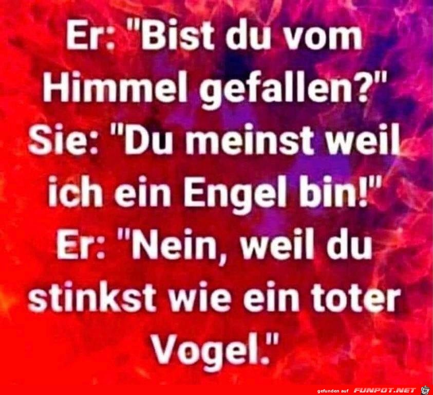 Ein toter Vogel