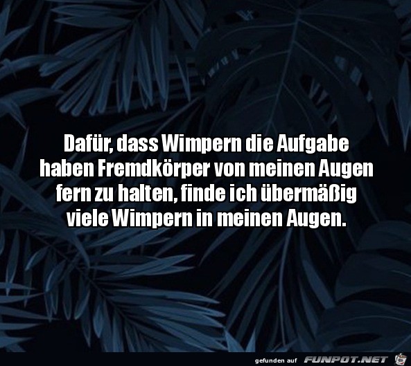 Die Wimpern Die Wimpern