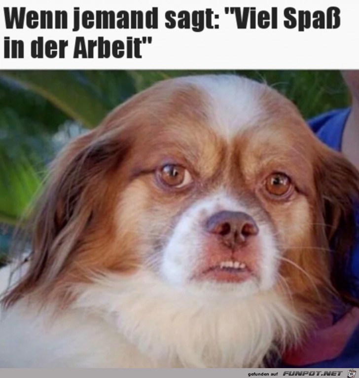 Viel Spaß bei der Arbeit Viel Spaß bei der Arbeit