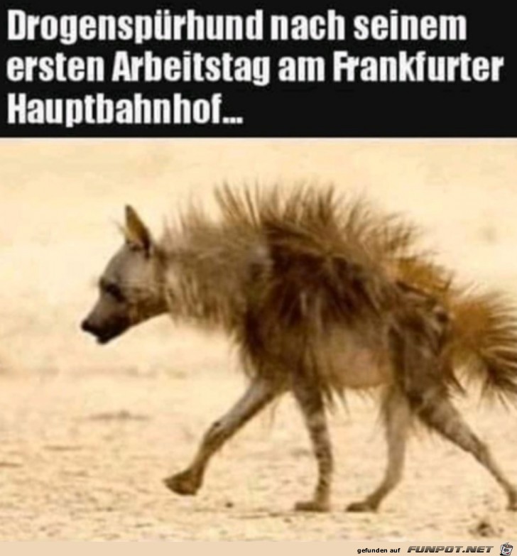 Harter Job Harter Job