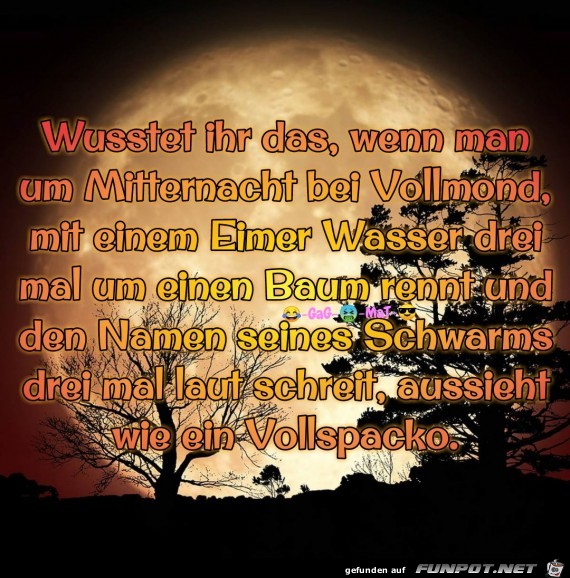 Vollmond