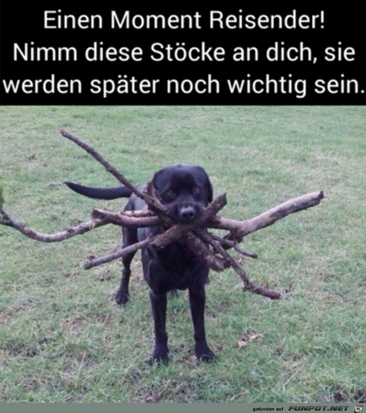 Nimm diese Stöcke Nimm diese Stöcke
