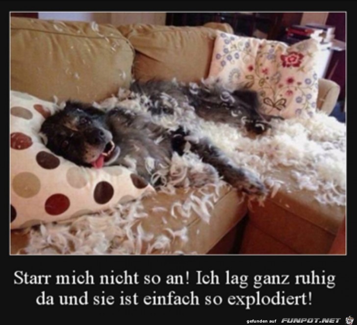 Starr mich nicht an Starr mich nicht an