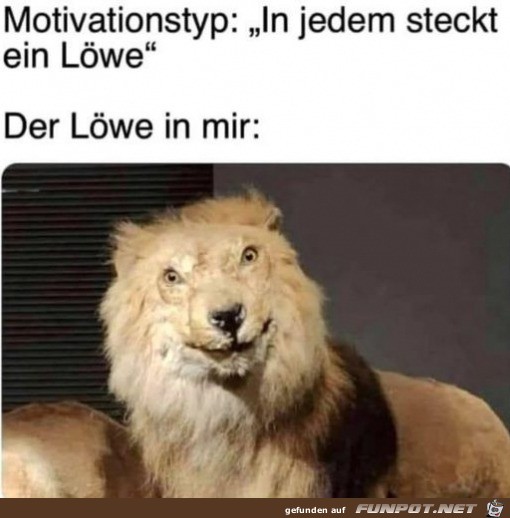 Super Löwe