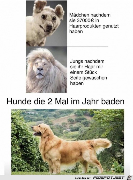 Haare gewaschen