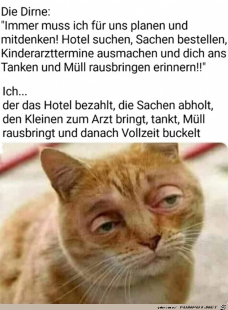 Fertiger Blick