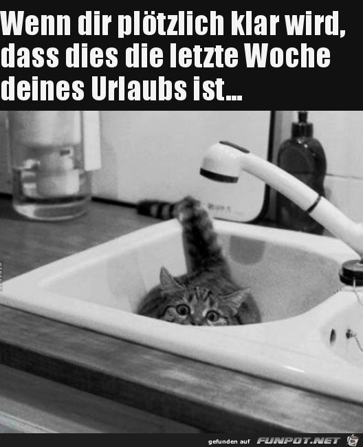 Letzte Woche Urlaub Letzte Woche Urlaub