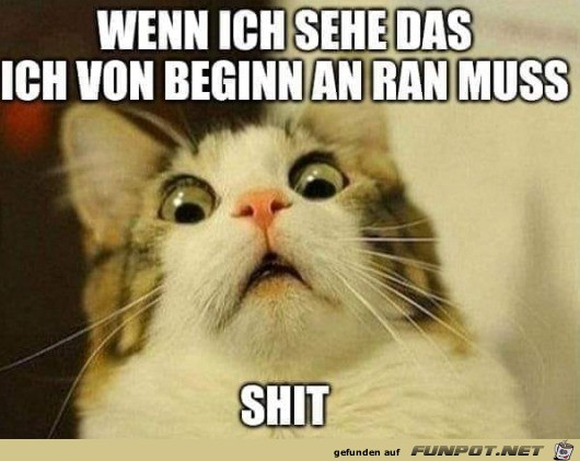 So ein Mist So ein Mist
